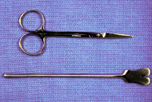 scissors and retractor